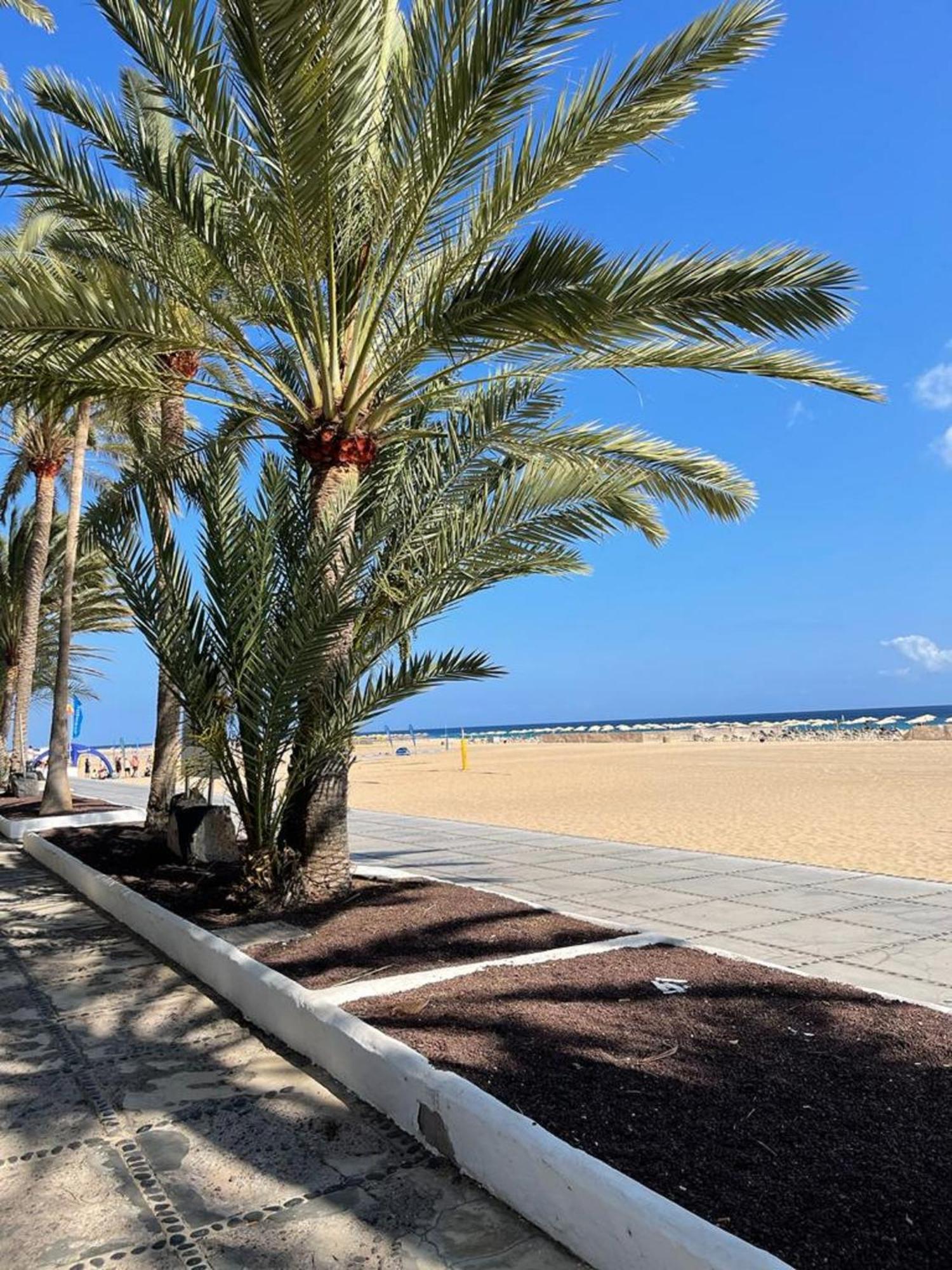 Playa JandiaCasa Reinaアパートメント エクステリア 写真
